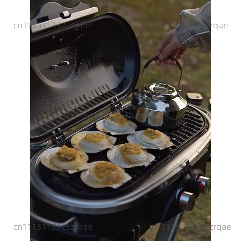 موقد غاز محمول للاستخدام الداخ - مراجعة Camping Cooking Range وسعره